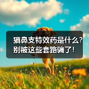 猫鼻支特效药是什么?别被这些套路骗了!(图4) 猫鼻支特效药是什么?别被这些套路骗了!(图4)