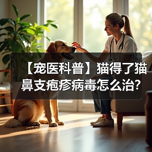 【宠医科普】猫得了猫鼻支疱疹病毒怎么治?(图4) 【宠医科普】猫得了猫鼻支疱疹病毒怎么治?(图4)