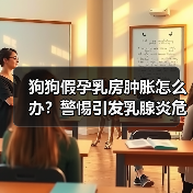 狗狗假孕乳房肿胀怎么办?警惕引发乳腺炎危机!(图3) 狗狗假孕乳房肿胀怎么办?警惕引发乳腺炎危机!(图3)