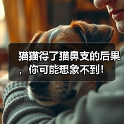猫猫得了猫鼻支的后果,你可能想象不到!(图2) 猫猫得了猫鼻支的后果,你可能想象不到!(图2)