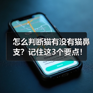 怎么判断猫有没有猫鼻支?记住这3个要点!(图3) 怎么判断猫有没有猫鼻支?记住这3个要点!(图3)