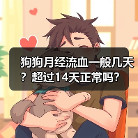 狗狗月经流血一般几天?超过14天正常吗?(图2) 狗狗月经流血一般几天?超过14天正常吗?(图2)