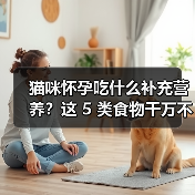 猫咪怀孕吃什么补充营养?这 5 类食物千万不能喂!(图3) 猫咪怀孕吃什么补充营养?这 5 类食物千万不能喂!(图3)