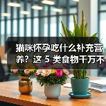 猫咪怀孕吃什么补充营养?这 5 类食物千万不能喂!(图1) 猫咪怀孕吃什么补充营养?这 5 类食物千万不能喂!(图1)