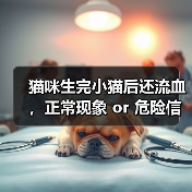猫咪生完小猫后还流血,正常现象 or 危险信号?(图4) 猫咪生完小猫后还流血,正常现象 or 危险信号?(图4)