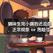 猫咪生完小猫后还流血,正常现象 or 危险信号?(图1) 猫咪生完小猫后还流血,正常现象 or 危险信号?(图1)