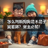 怎么判断狗狗是不是子宫蓄脓?宠主必知!(图2) 怎么判断狗狗是不是子宫蓄脓?宠主必知!(图2)