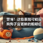 警惕！这些表现可能是狗狗子宫蓄脓的前期症状！（图4）