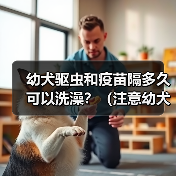 幼犬驱虫和疫苗隔多久可以洗澡？（注意幼犬健康，科学洗澡是关键）（图2）