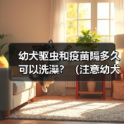 幼犬驱虫和疫苗隔多久可以洗澡？（注意幼犬健康，科学洗澡是关键）（图1）