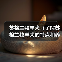 苏格兰牧羊犬(了解苏格兰牧羊犬的特点和养护要点)(图2) 苏格兰牧羊犬(了解苏格兰牧羊犬的特点和养护要点)(图2)