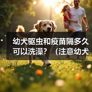 幼犬驱虫和疫苗隔多久可以洗澡？（注意幼犬健康，科学洗澡是关键）（图3）