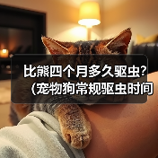 比熊四个月多久驱虫?(宠物狗常规驱虫时间及注意事项)(图3) 比熊四个月多久驱虫?(宠物狗常规驱虫时间及注意事项)(图3)