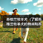 苏格兰牧羊犬(了解苏格兰牧羊犬的特点和养护要点)(图4) 苏格兰牧羊犬(了解苏格兰牧羊犬的特点和养护要点)(图4)