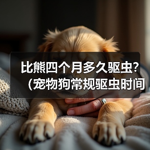 比熊四个月多久驱虫?(宠物狗常规驱虫时间及注意事项)(图2) 比熊四个月多久驱虫?(宠物狗常规驱虫时间及注意事项)(图2)