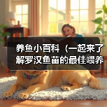 养鱼小百科（一起来了解罗汉鱼苗的最佳喂养时间吧！）（图4）