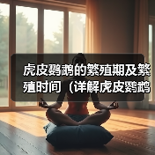 虎皮鹦鹉的繁殖期及繁殖时间（详解虎皮鹦鹉繁殖周期及配对行为）（图2）