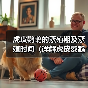 虎皮鹦鹉的繁殖期及繁殖时间（详解虎皮鹦鹉繁殖周期及配对行为）（图3）
