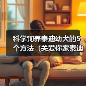 科学饲养泰迪幼犬的5个方法(关爱你家泰迪宝宝,健康成长无忧)(图1) 科学饲养泰迪幼犬的5个方法(关爱你家泰迪宝宝,健康成长无忧)(图1)