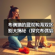布偶猫的蓝双和海双区别大揭秘（探究布偶猫蓝双和海双之间的外貌和性格差异）（图2）