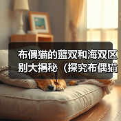 布偶猫的蓝双和海双区别大揭秘（探究布偶猫蓝双和海双之间的外貌和性格差异）（图1）