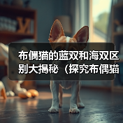 布偶猫的蓝双和海双区别大揭秘（探究布偶猫蓝双和海双之间的外貌和性格差异）（图3）