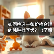 如何挑选一条价格合理的纯种杜宾犬?(了解杜宾犬价格及挑选方法,为您选择一只理想的宠物伴侣)(图3) 如何挑选一条价格合理的纯种杜宾犬?(了解杜宾犬价格及挑选方法,为您选择一只理想的宠物伴侣)(图3)