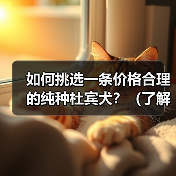如何挑选一条价格合理的纯种杜宾犬?(了解杜宾犬价格及挑选方法,为您选择一只理想的宠物伴侣)(图2) 如何挑选一条价格合理的纯种杜宾犬?(了解杜宾犬价格及挑选方法,为您选择一只理想的宠物伴侣)(图2)
