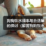 狗狗饮水频率与合适量的探讨(解答狗狗饮水问题,为它们提供健康的生活环境)(图4) 狗狗饮水频率与合适量的探讨(解答狗狗饮水问题,为它们提供健康的生活环境)(图4)