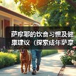 萨摩耶的饮食习惯及健康建议（探索成年萨摩耶每天两次的投喂方式）