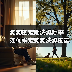 狗狗的定期洗澡频率（如何确定狗狗洗澡的最佳频率）（图2）