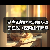 萨摩耶的饮食习惯及健康建议(探索成年萨摩耶每天两次的投喂方式)(图4) 萨摩耶的饮食习惯及健康建议(探索成年萨摩耶每天两次的投喂方式)(图4)