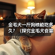 金毛犬一斤狗粮能吃多久？（探究金毛犬食量及饮食管理的关键因素）（图2）