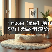1月26日【重庆】(第125期)丨犬猫外科(高阶)班!含SUB(人人可实操)、乳糜胸等技术!(图2) 1月26日【重庆】(第125期)丨犬猫外科(高阶)班!含SUB(人人可实操)、乳糜胸等技术!(图2)
