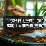 1月26日【重庆】(第125期)丨犬猫外科(高阶)班!含SUB(人人可实操)、乳糜胸等技术!(图1) 1月26日【重庆】(第125期)丨犬猫外科(高阶)班!含SUB(人人可实操)、乳糜胸等技术!(图1)