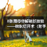 8张图带你解锁新技能——膀胱切开术(附手术视频)(图2) 8张图带你解锁新技能——膀胱切开术(附手术视频)(图2)