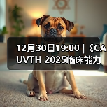 12月30日19:00 |《CAUVTH 2025临床能力提升系列》线上公益课程:如何找到脓包里“飞来”的异物(图3) 12月30日19:00 |《CAUVTH 2025临床能力提升系列》线上公益课程:如何找到脓包里“飞来”的异物(图3)