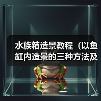 水族箱造景教程(以鱼缸内造景的三种方法及注意事项)(图1) 水族箱造景教程(以鱼缸内造景的三种方法及注意事项)(图1)