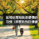如何处理狗狗吃便便的习惯(探索狗狗吃便便的原因及有效的解决方法)(图2) 如何处理狗狗吃便便的习惯(探索狗狗吃便便的原因及有效的解决方法)(图2)