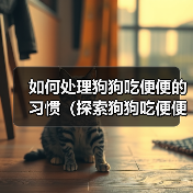 如何处理狗狗吃便便的习惯(探索狗狗吃便便的原因及有效的解决方法)(图3) 如何处理狗狗吃便便的习惯(探索狗狗吃便便的原因及有效的解决方法)(图3)