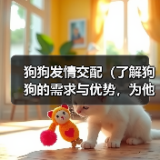 狗狗发情交配(了解狗狗的需求与优势,为他们找到完美的伴侣)(图3) 狗狗发情交配(了解狗狗的需求与优势,为他们找到完美的伴侣)(图3)