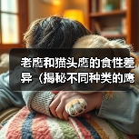 老鹰和猫头鹰的食性差异（揭秘不同种类的鹰喜好的食物以及原因）