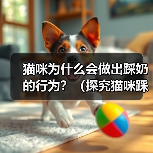 猫咪为什么会做出踩奶的行为?(探究猫咪踩奶行为的原因及意义)(图4) 猫咪为什么会做出踩奶的行为?(探究猫咪踩奶行为的原因及意义)(图4)