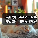 猫咪为什么会做出踩奶的行为？（探究猫咪踩奶行为的原因及意义）