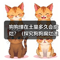 狗狗埋在土里多久会腐烂?(探究狗狗腐烂速度的关键因素)(图3) 狗狗埋在土里多久会腐烂?(探究狗狗腐烂速度的关键因素)(图3)