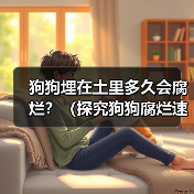狗狗埋在土里多久会腐烂?(探究狗狗腐烂速度的关键因素)(图2) 狗狗埋在土里多久会腐烂?(探究狗狗腐烂速度的关键因素)(图2)