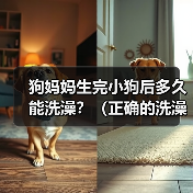 狗妈妈生完小狗后多久能洗澡?(正确的洗澡时间对狗妈妈和小狗的健康至关重要)(图1) 狗妈妈生完小狗后多久能洗澡?(正确的洗澡时间对狗妈妈和小狗的健康至关重要)(图1)