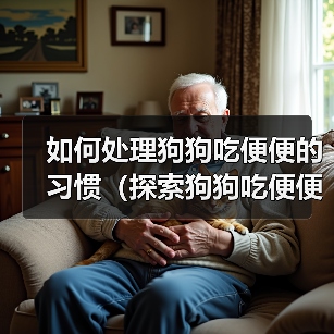 如何处理狗狗吃便便的习惯(探索狗狗吃便便的原因及有效的解决方法)(图4) 如何处理狗狗吃便便的习惯(探索狗狗吃便便的原因及有效的解决方法)(图4)