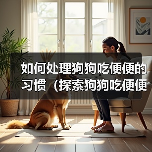 如何处理狗狗吃便便的习惯(探索狗狗吃便便的原因及有效的解决方法)(图1) 如何处理狗狗吃便便的习惯(探索狗狗吃便便的原因及有效的解决方法)(图1)
