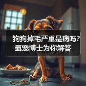 狗狗掉毛严重是病吗?氧宠博士为你解答(图4) 狗狗掉毛严重是病吗?氧宠博士为你解答(图4)